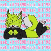 DrisekBeam