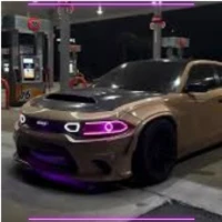 Custom challengers that are ACTUALLY real