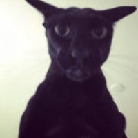 Discussion: Radial Cheat Menu + imGUI menu