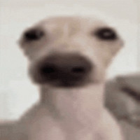ehchair