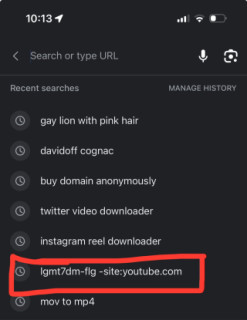 ALEXIS.EXE'S SEARCH HISTORY