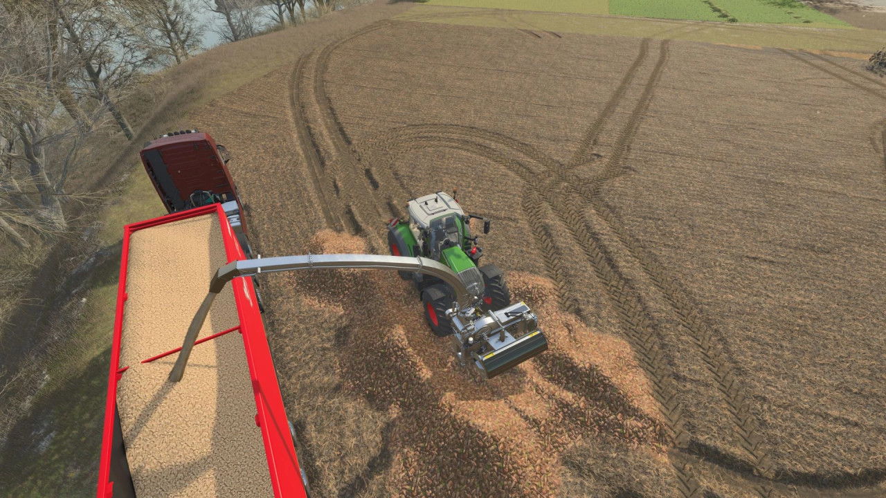 Sugar beet chopper