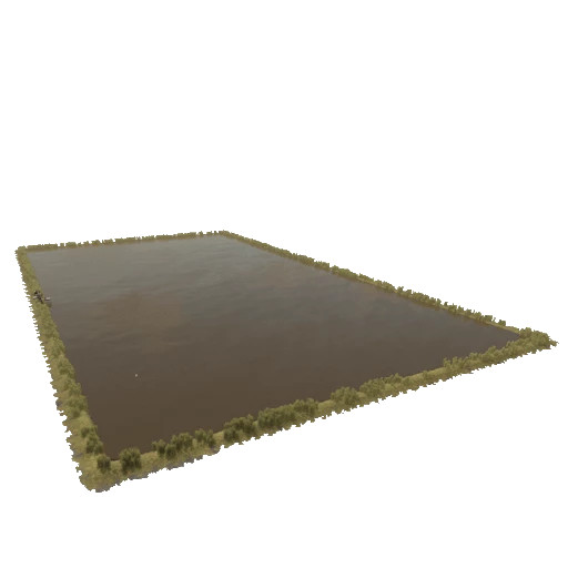 FS25 RiceField