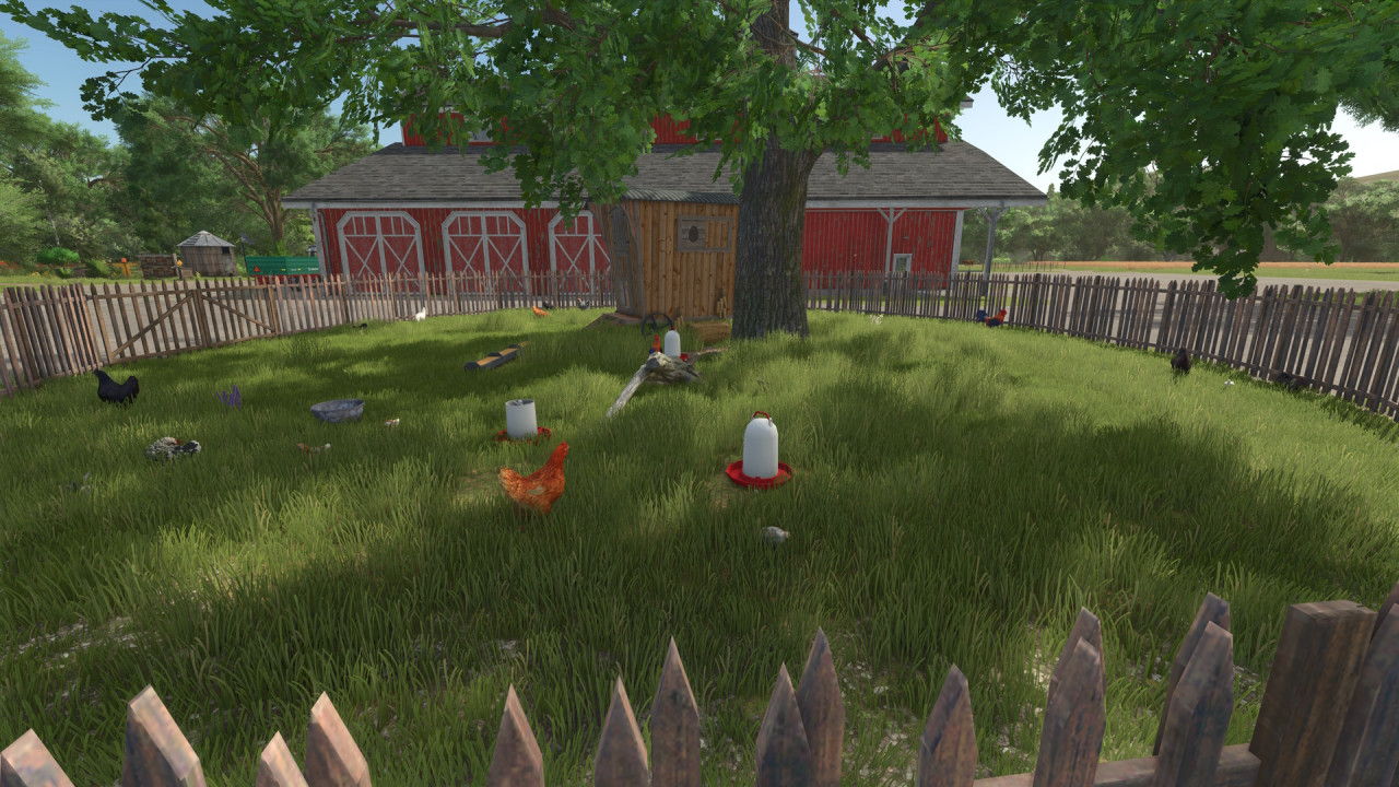 Chickens with fences