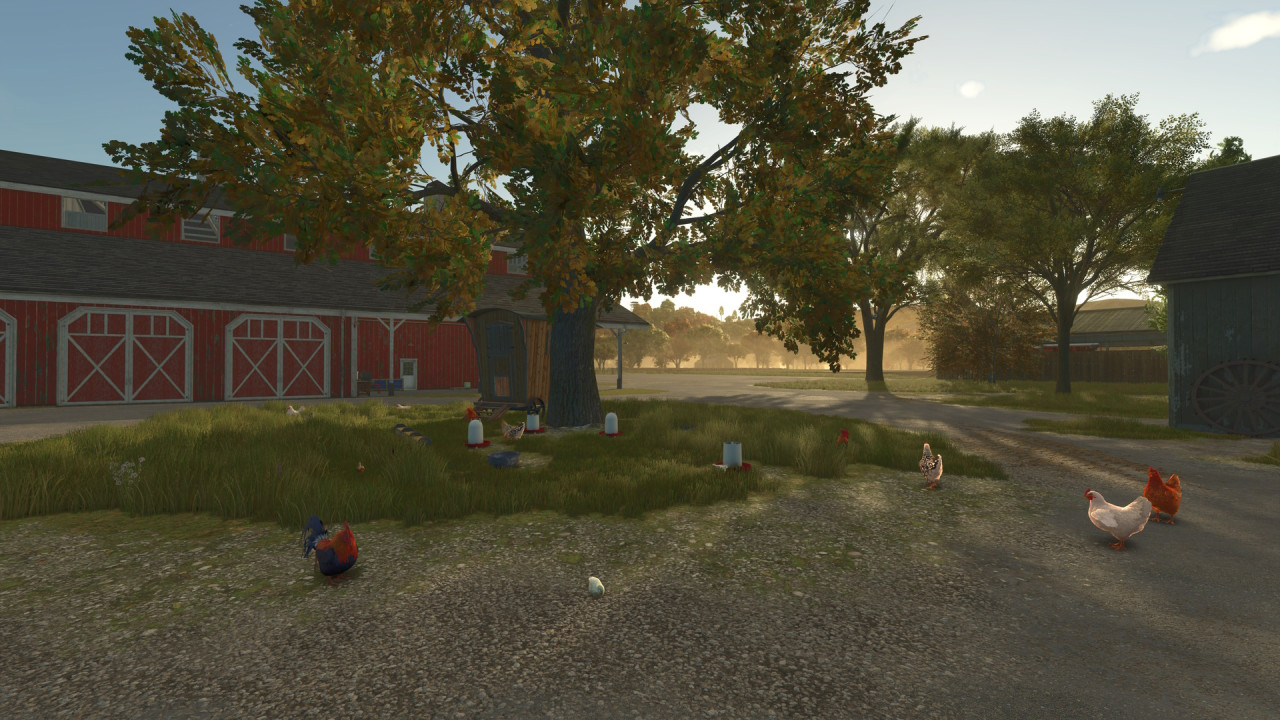 Chickens Free