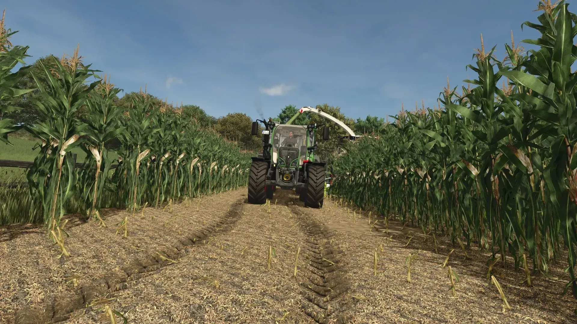 Improved Corn Texture v 1.0
