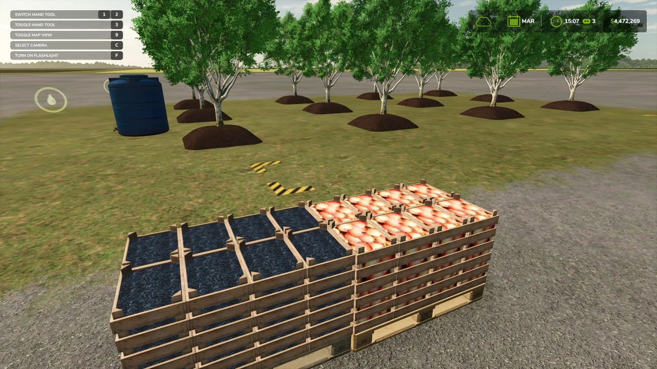 FRUIT TREE PLANTATION UPDATE