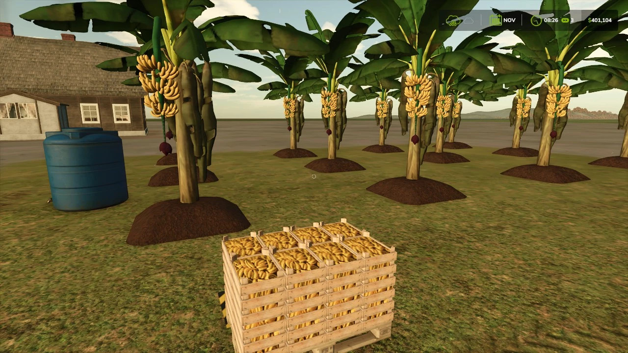 BANANA PLANTATION