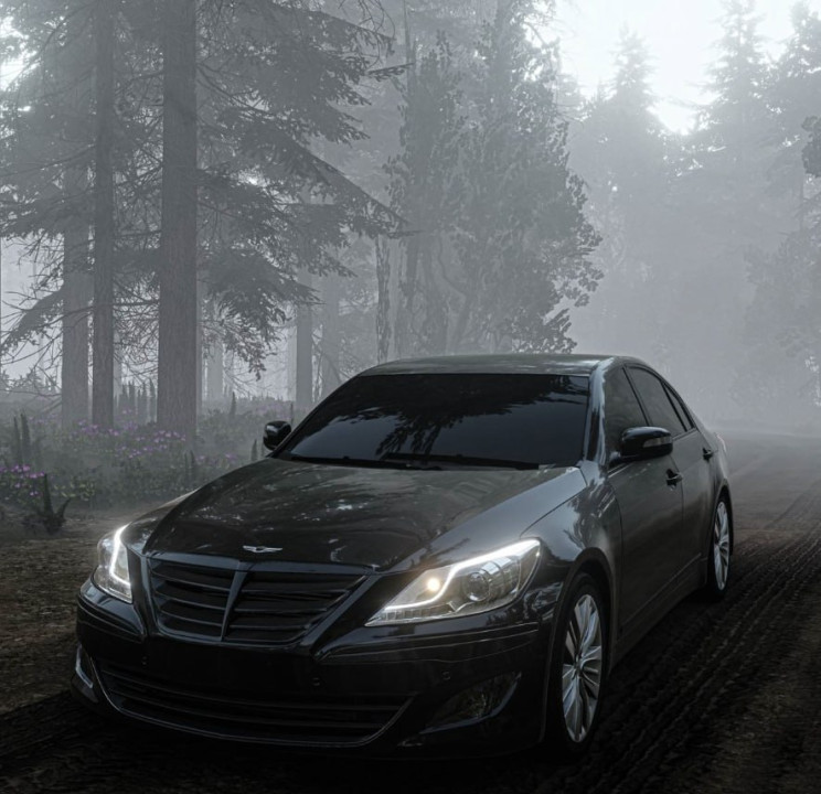 Hyundai Genesis Sedan 2008-2013