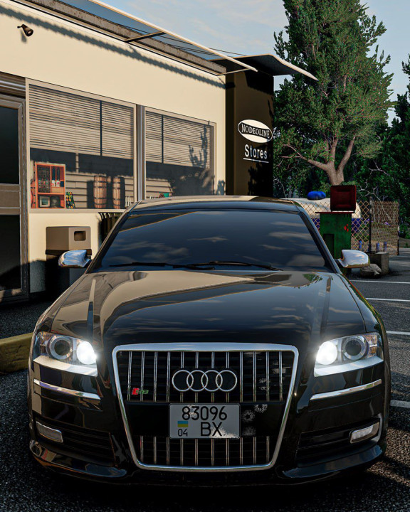 Audi S8 D3
