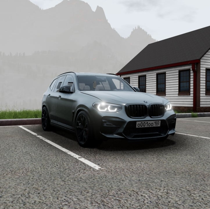 BMW X3M