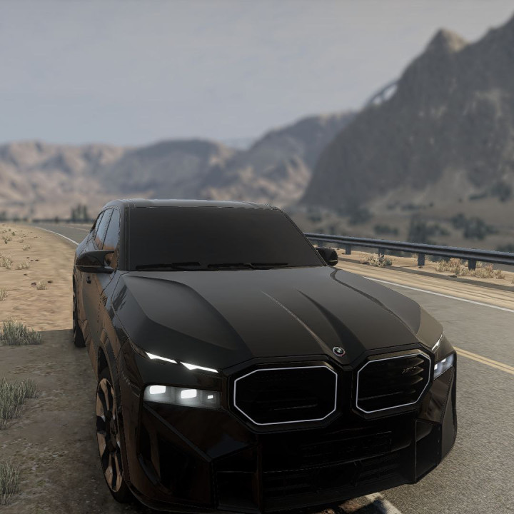 BMW XM