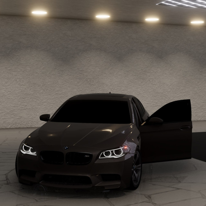 BMW M5 F10