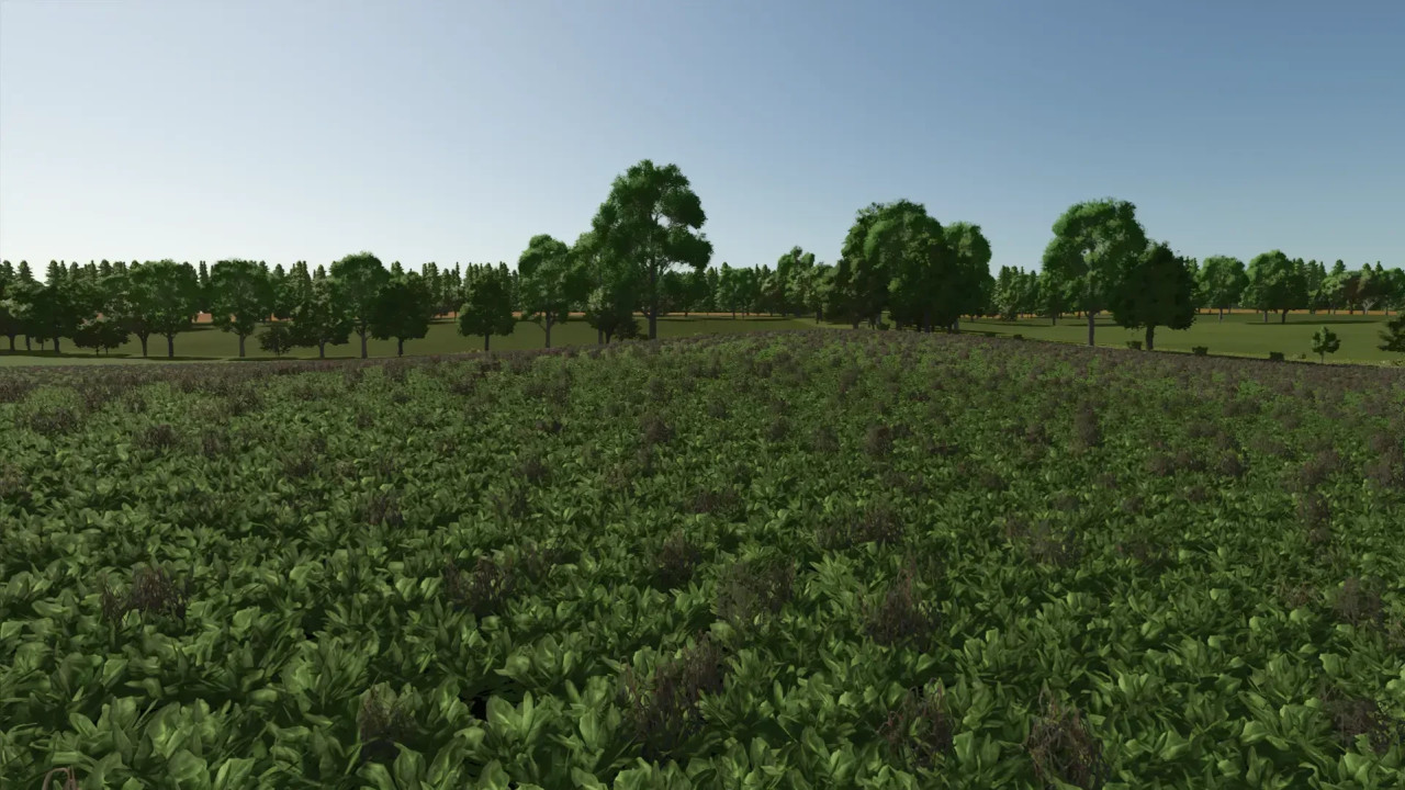 Cheeky Badger Map 4X