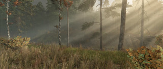 Mod Image