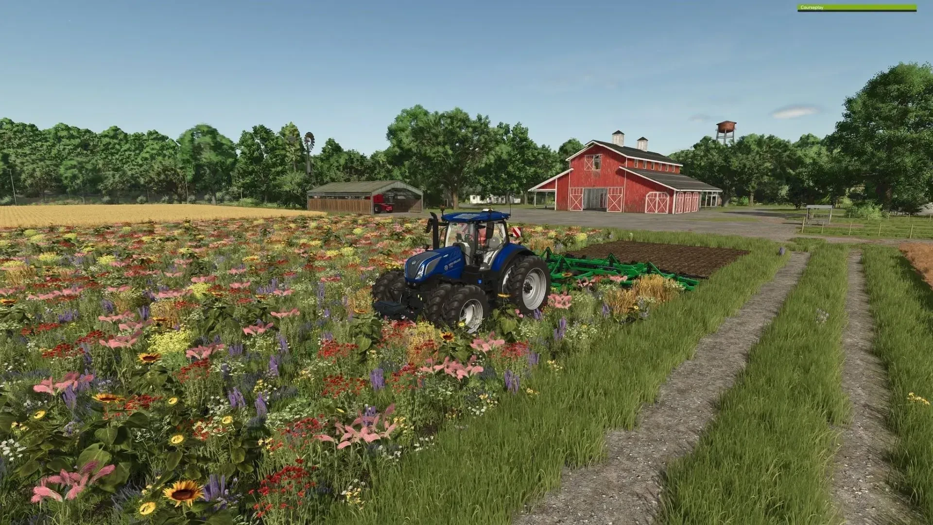 Oil Radish Texture 1.0