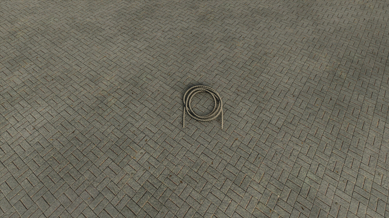 Leash