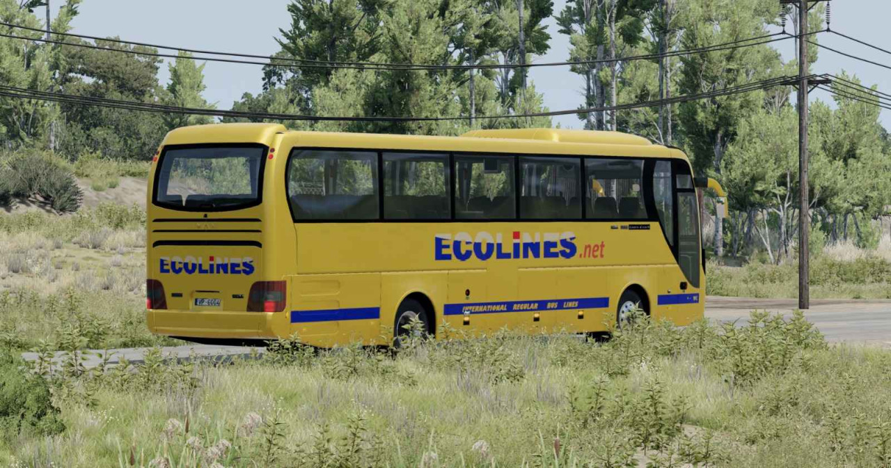 Man's Lion Coach