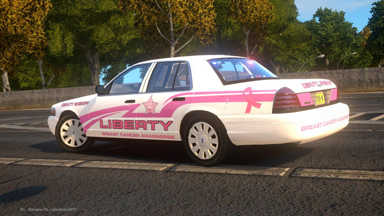Liberty Deputy Sheriff - Breast Cancer Awarness