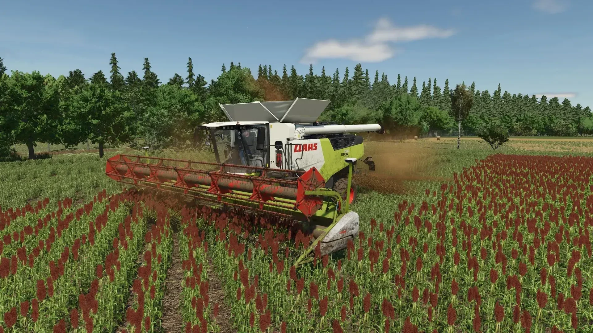 Sorghum Hirse Texture 1.0