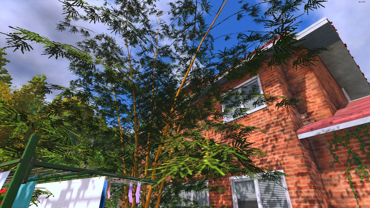 Small bamboo grove