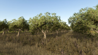 Mod Image