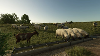 Mod Image