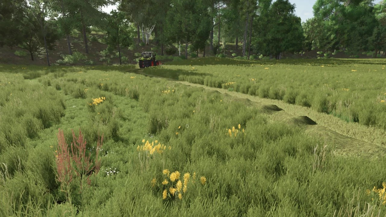 Grass with Dandelions and Daisies