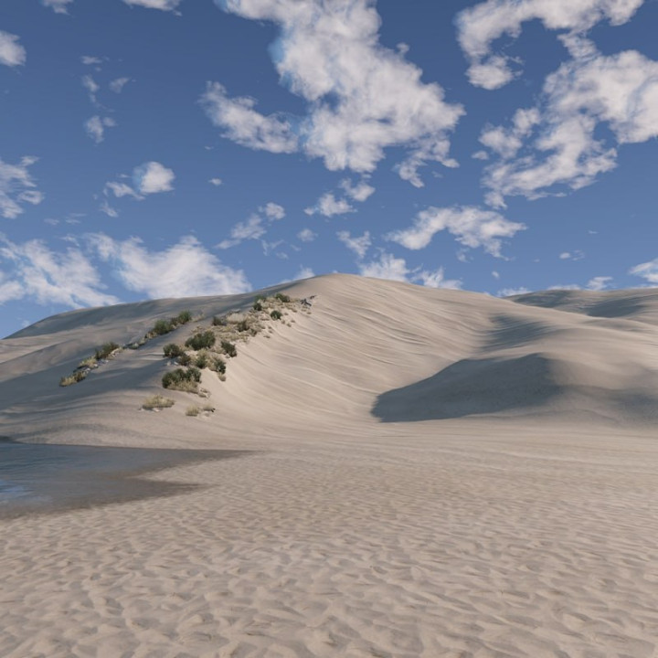 Pure Sands