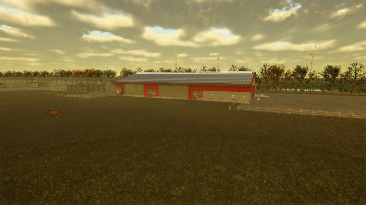 XXL Large Animal Barns