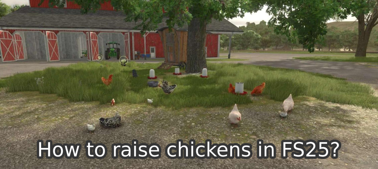 How to raise chickens in FS25?