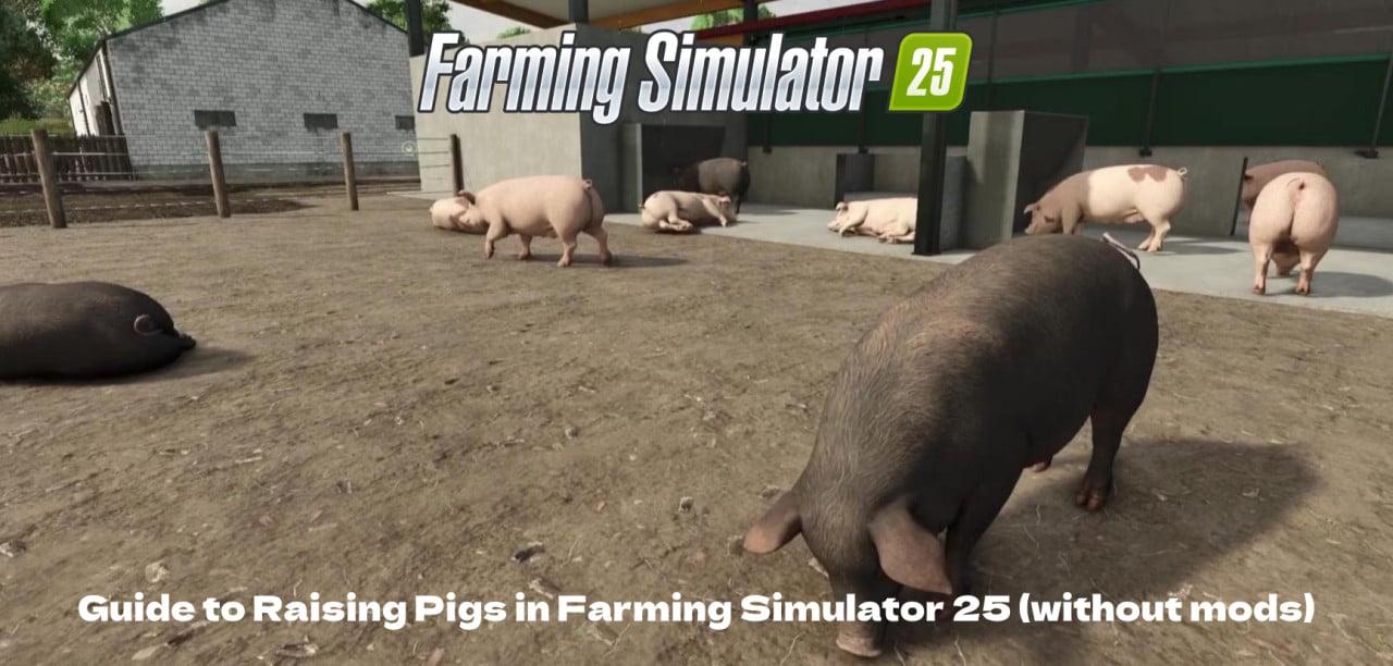 Guide to Raising Pigs in Farming Simulator 25 (without mods)
