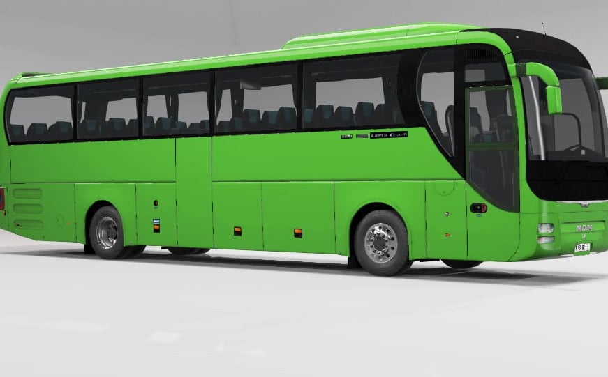 Man's Lion Coach Improved