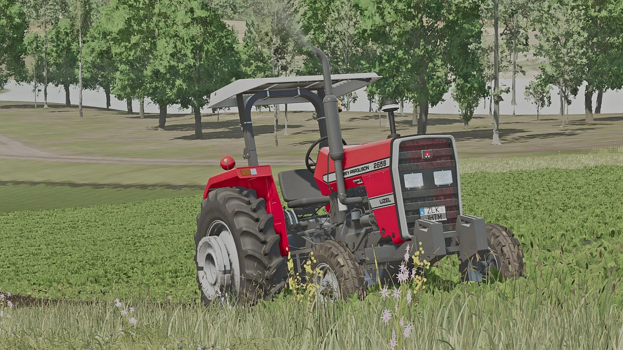 Massey Ferguson 265