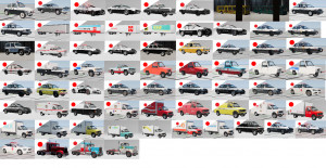 日本のスキンパック Japanese Skin Pack