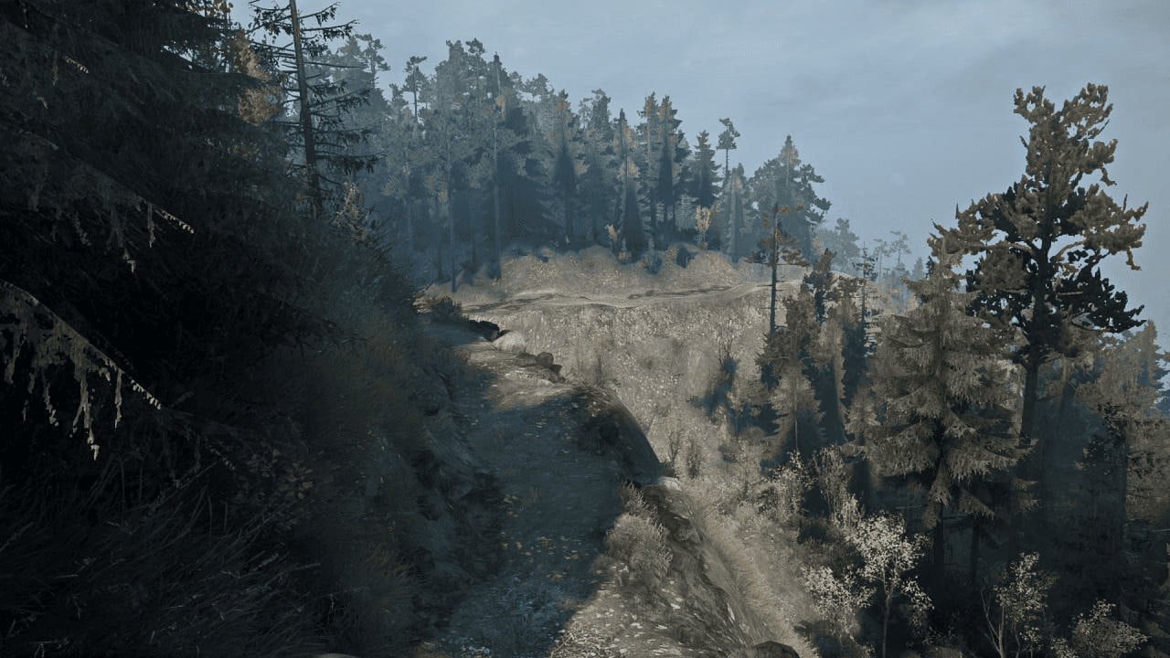 Blackwater Canyon light