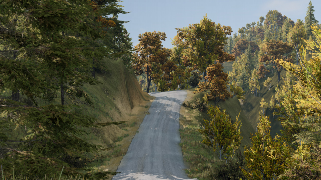 Finlayson Brook Road, New Zealand