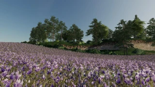 Kolkhoz Partsezd 1.6 thumbnail 3
