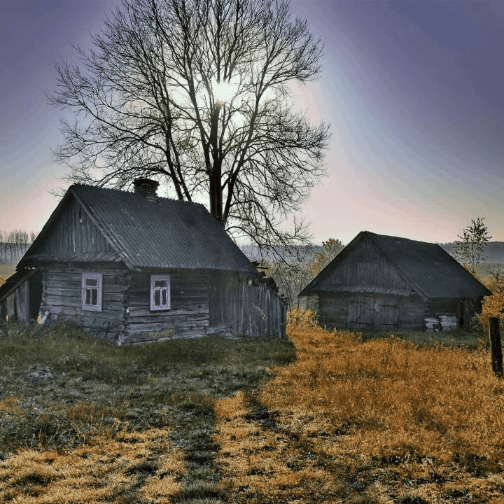 Forgotten Land