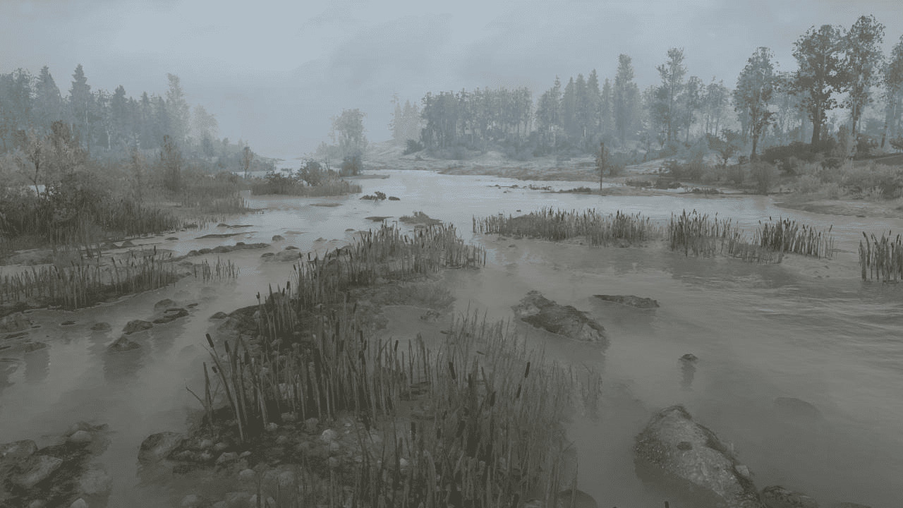 Dirt Point