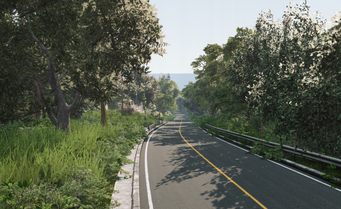 Hakone Turnpike (Touge)