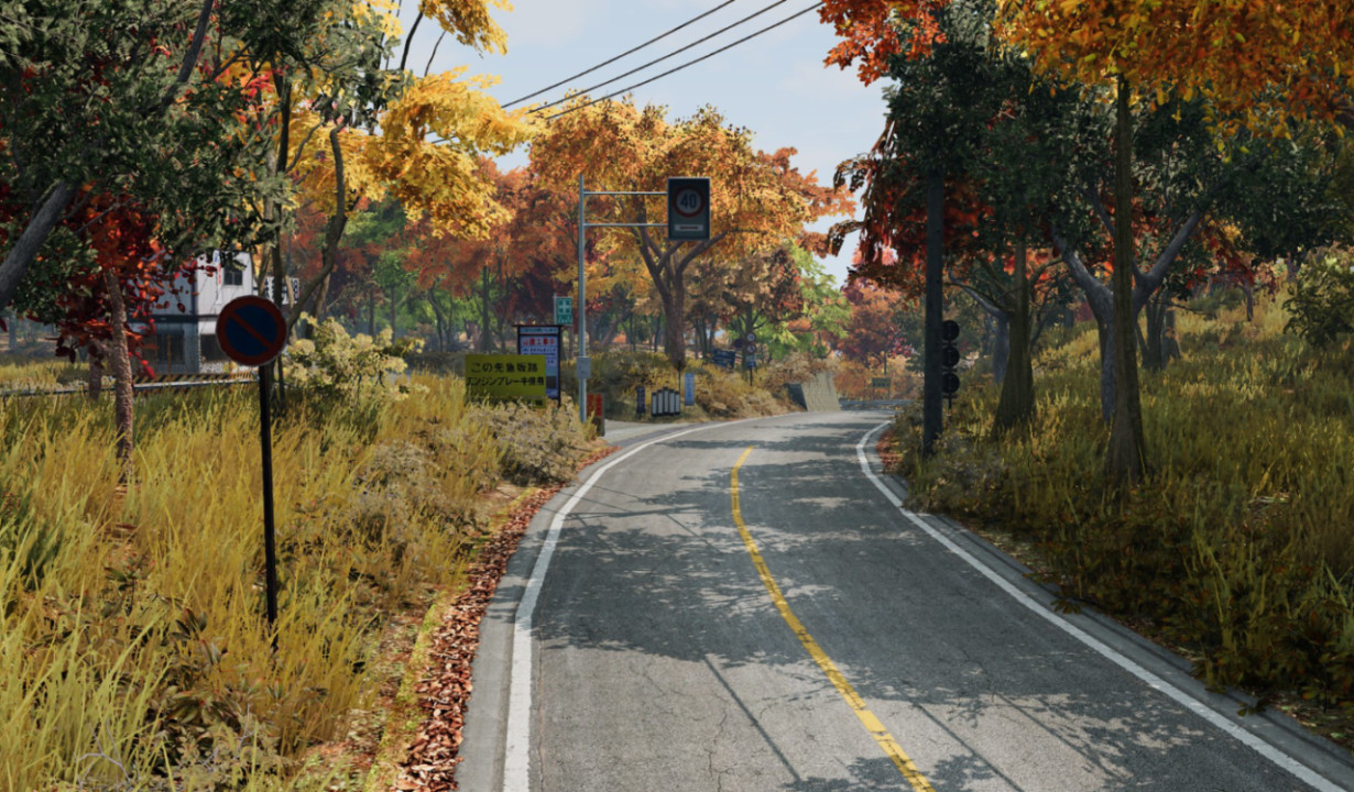 Irohazaka Slope (Touge)