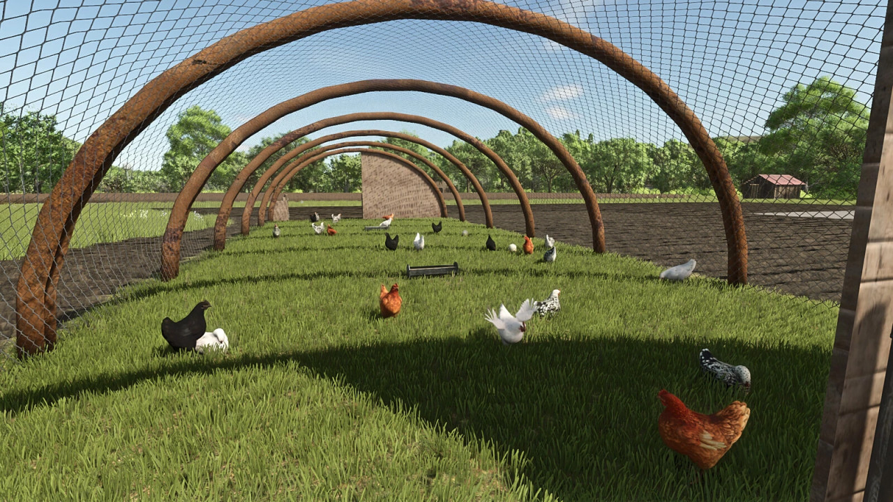 Home Made Chicken Coop