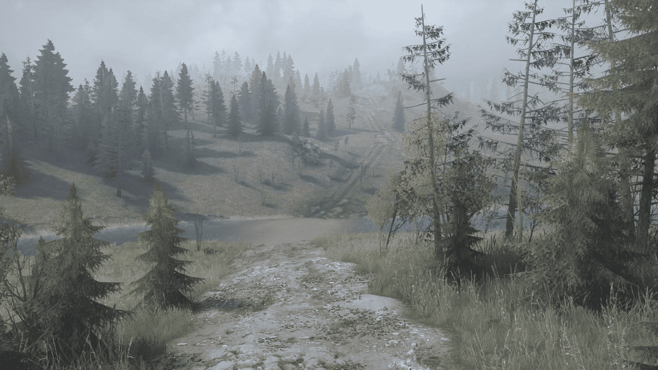 The forest