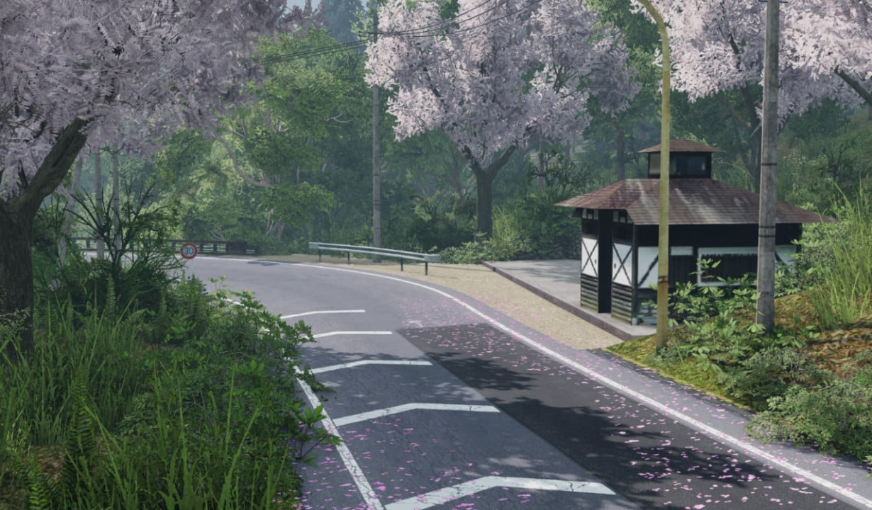 Sadamine Pass (Touge)