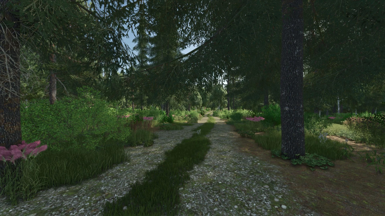 Forest Valley