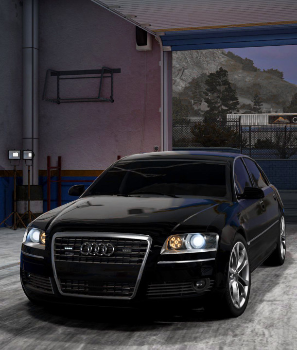 '6-'10 Audi S8 (D3)