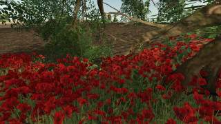 Mod Image