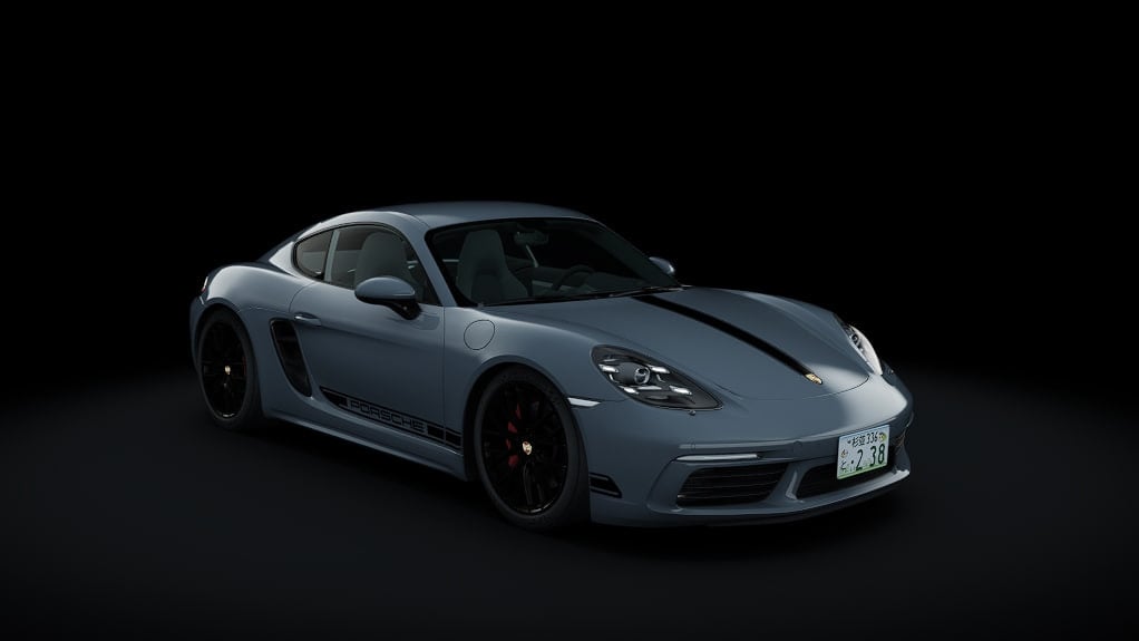 Porsche 718 Cayman [982] REIN