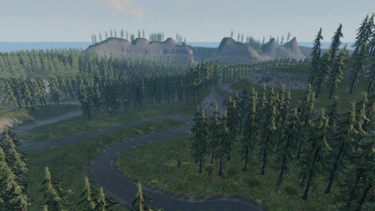 Forest Roads